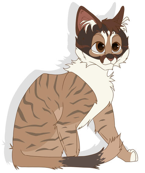 Fullbody