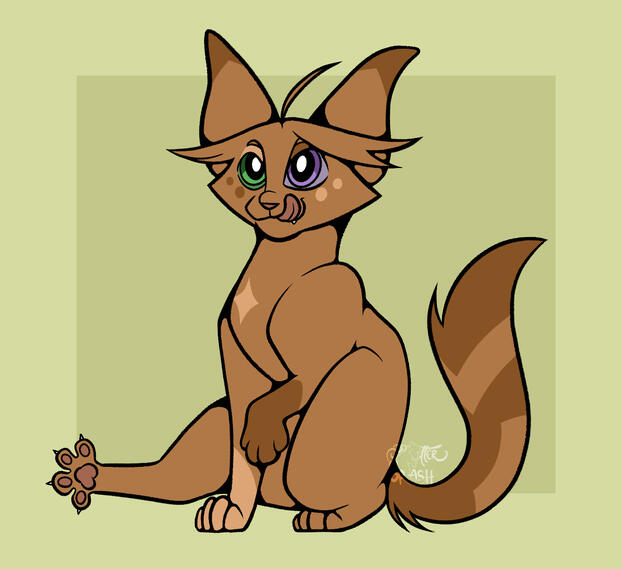 Fullbody